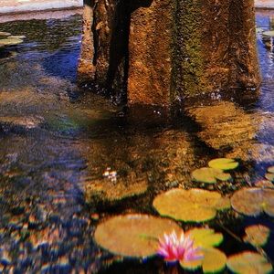 Meet your Posher, Gabi